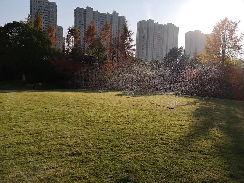 杭州被点名,杭州通报表扬