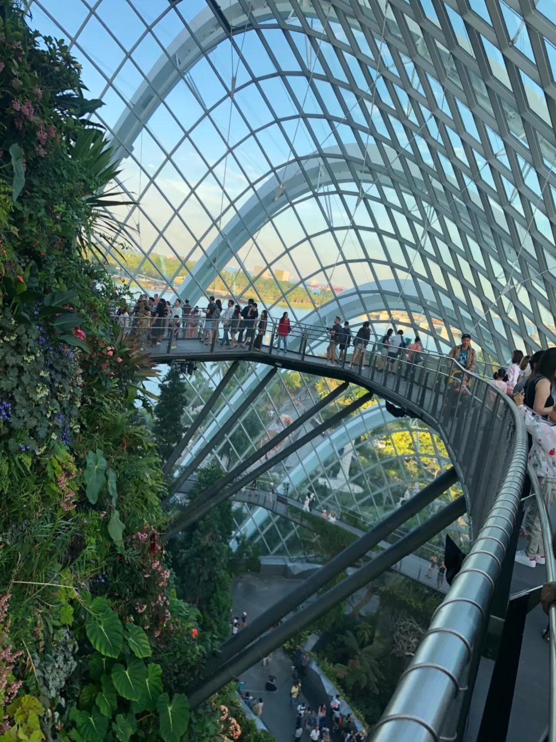 新加坡经典一日游,新加坡一日游必去景点