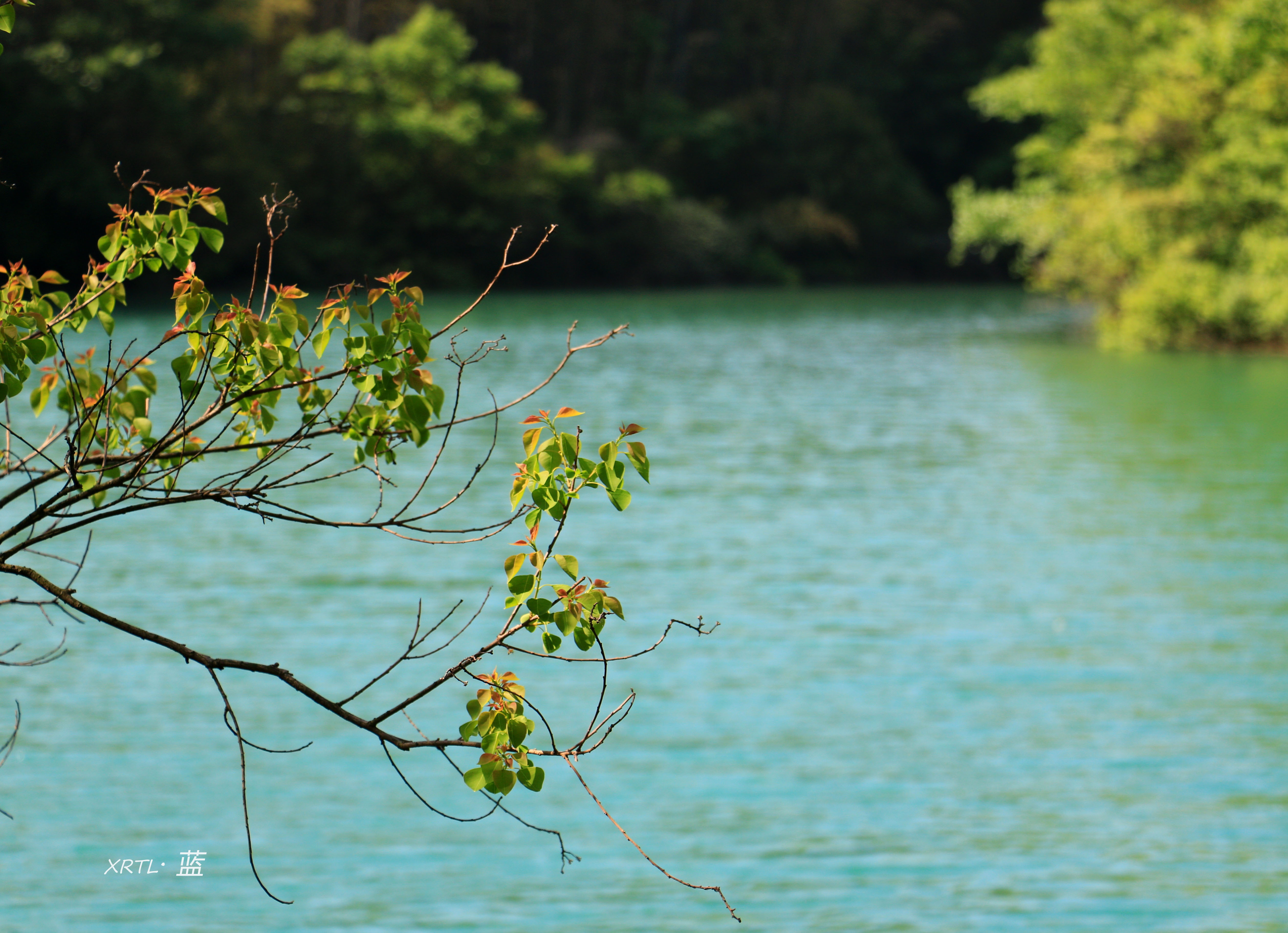 南京周边一天半游的绝佳去处,疫情后南京出游