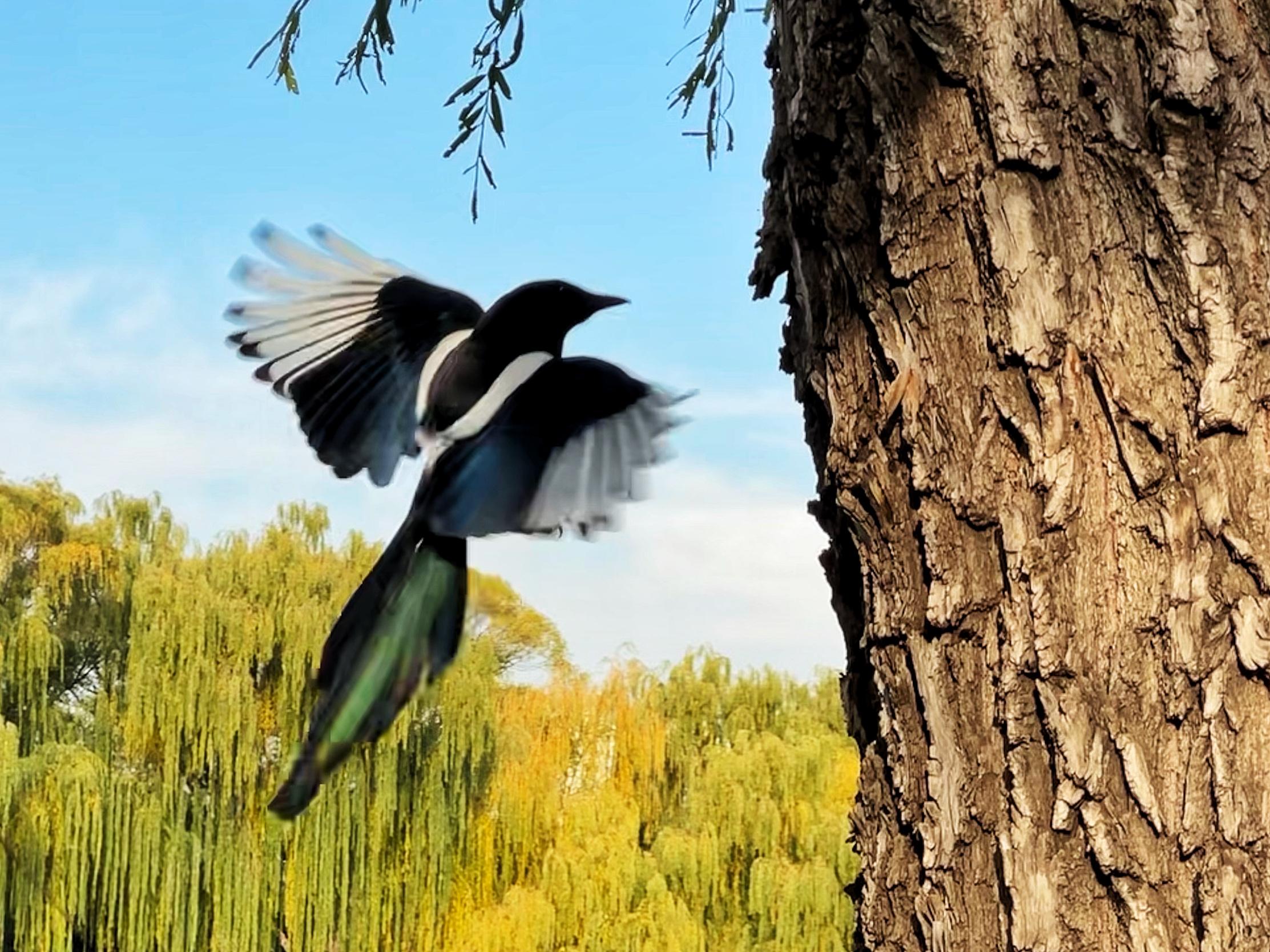 用iphone12拍大片,用iphone12拍出电影感