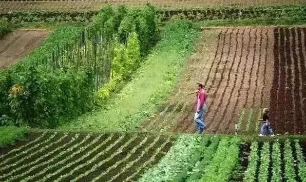 搞美丽乡村、田园康养,这些欧洲爆款农业模式不得不看