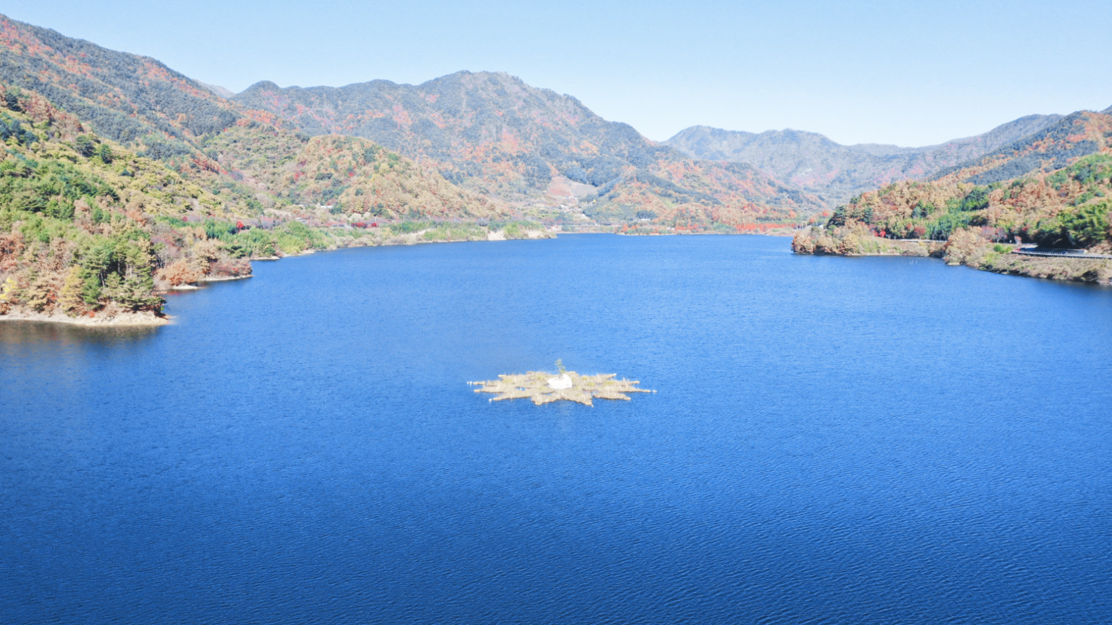 哇,人参随便挖!韩国还能这么玩