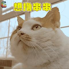 好吃的串串推荐,串串控不能错过的8家串串店