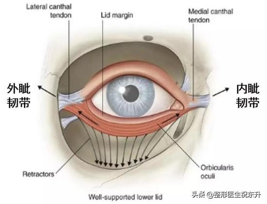 眼皮老是耷拉着睡不醒？恢复年轻其实并不难！