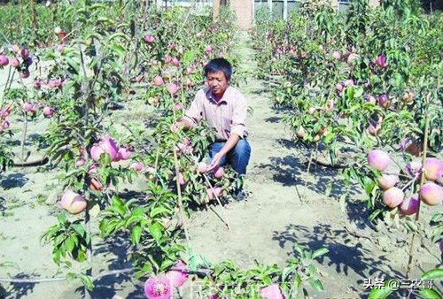 农村未来五大热门创业项目,30个农村小投资创业致富项目