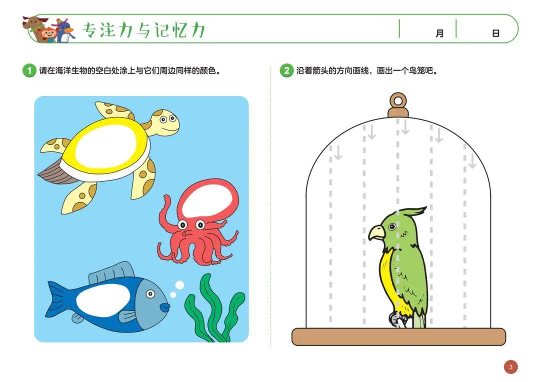 七田真全脑开发全套6册,日本正版七田真全脑课程介绍