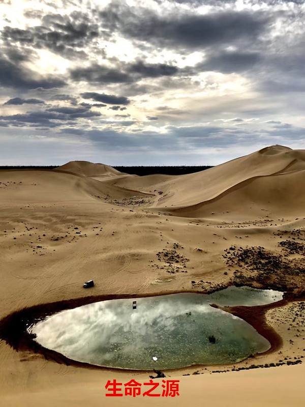 林业礼赞——世界最后一滴水将是人类的眼泪吗