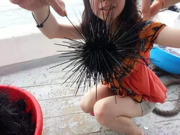 渔民海鲜大全,渔民整理的海鲜河鲜大全