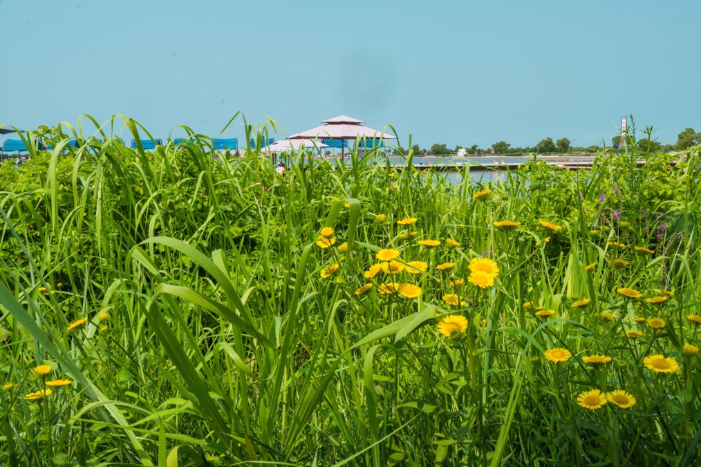 周末24小时畅玩,周末去哪儿玩曹妃甸