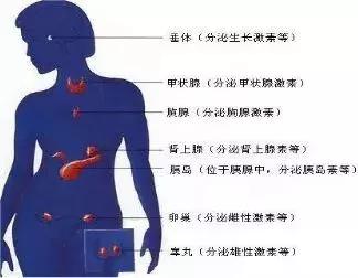 初中生物七年级下册知识点讲解,初一下册生物重点复习初中生学习