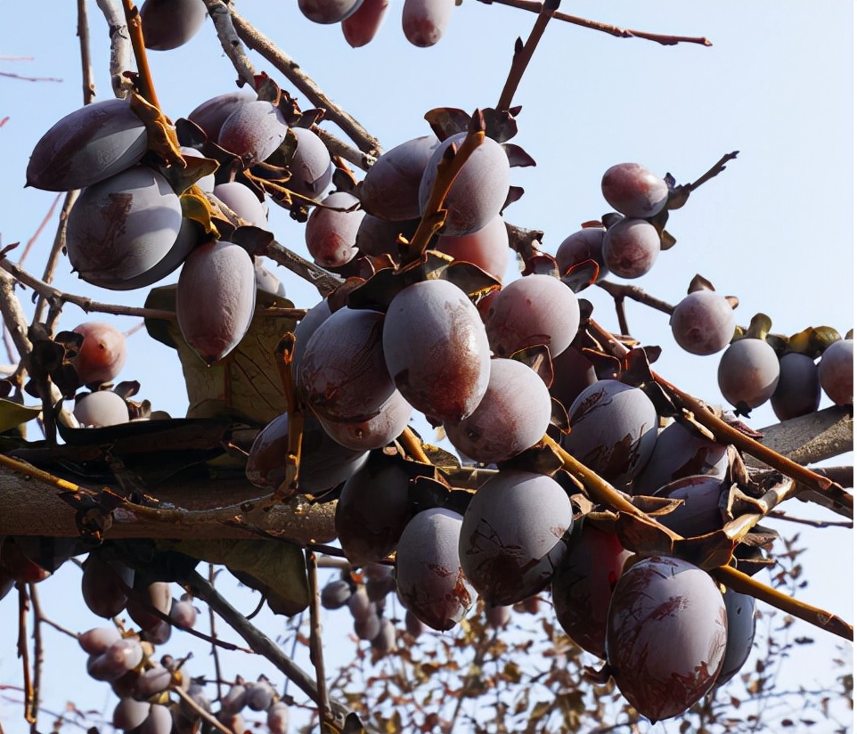 <html>
<head><title>502BadGateway</title></head>
<body>
<center><h1>502BadGateway</h1></center>
<hr><center>nginx</center>
</body>
</html>
<!--apaddingtodisableMSIEandChromefriendlyerrorpage-->
<!--apaddingtodisableMSIEandChromefriendlyerrorpage-->
<!--apaddingtodisableMSIEandChromefriendlyerrorpage-->
<!--apaddingtodisableMSIEandChromefriendlyerrorpage-->
<!--apaddingtodisableMSIEandChromefriendlyerrorpage-->
<!--apaddingtodisableMSIEandChromefriendlyerrorpage-->
