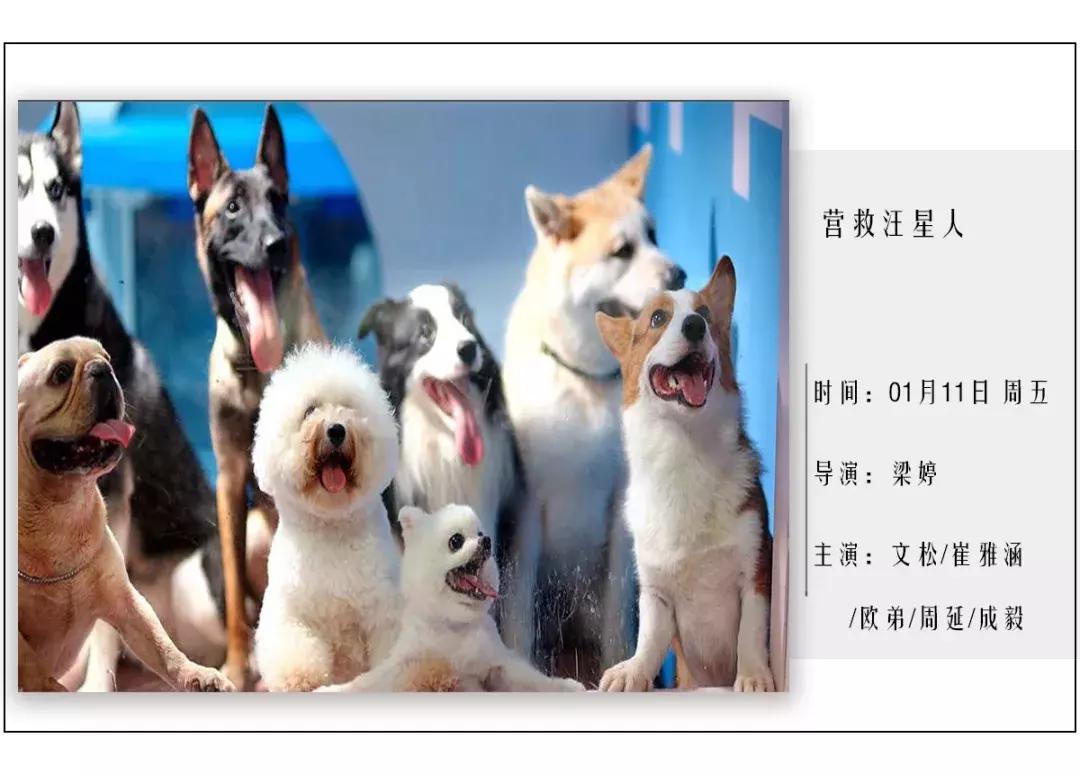 故宫出了哪些书,故宫出的一本解谜的书