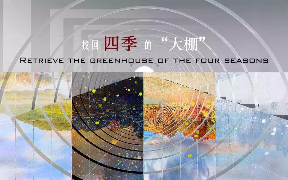 获奖作品广场舞大赛,莲花山杯全国摄影大赛