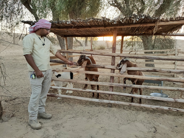 迪拜不为人知的秘密,迪拜的不为人知的事情
