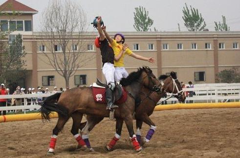 你们见过篮球；见过马球，但是你们见过马篮球吗？