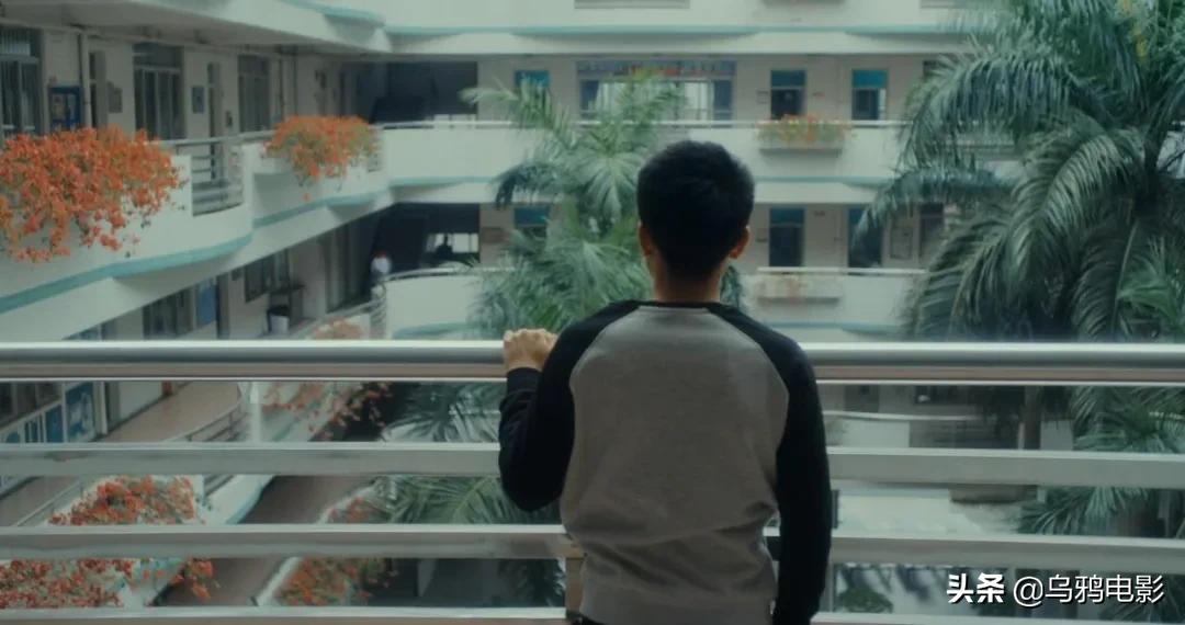 横扫电影节奖项,横扫国际影展