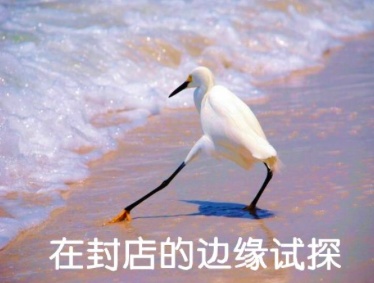 新手亚马逊选品渠道,亚马逊店群教程好做吗