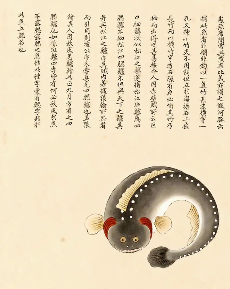 故宫烧脑奇书,故宫恐怖小说