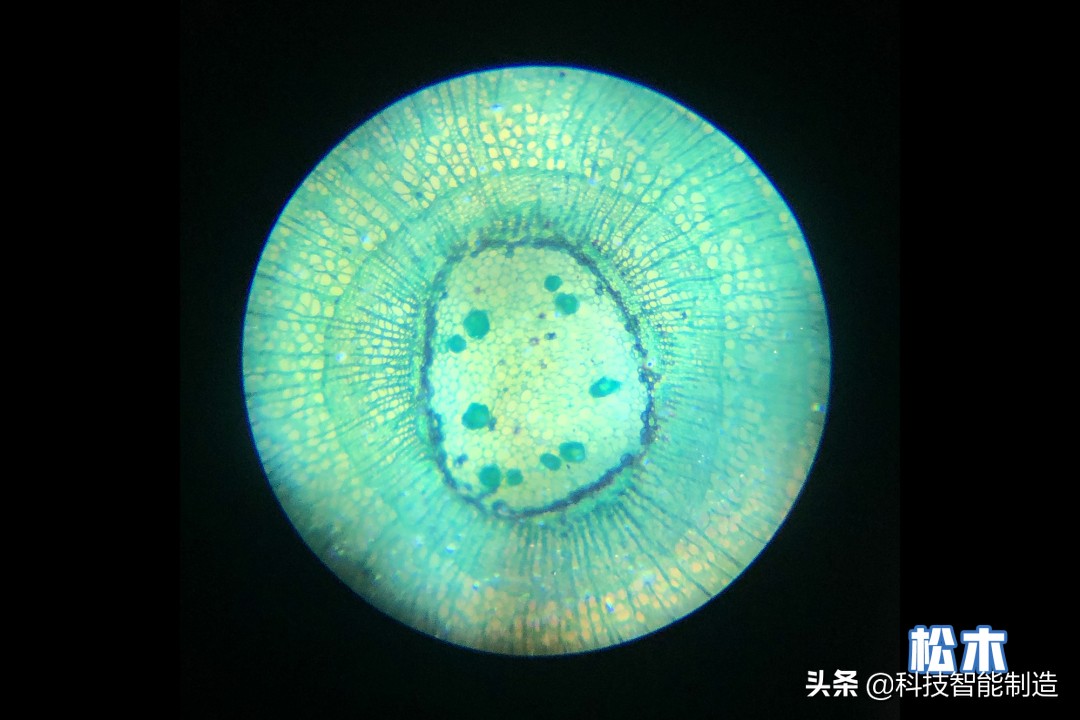 显微镜的价格最便宜的,日本口袋放大120倍显微镜