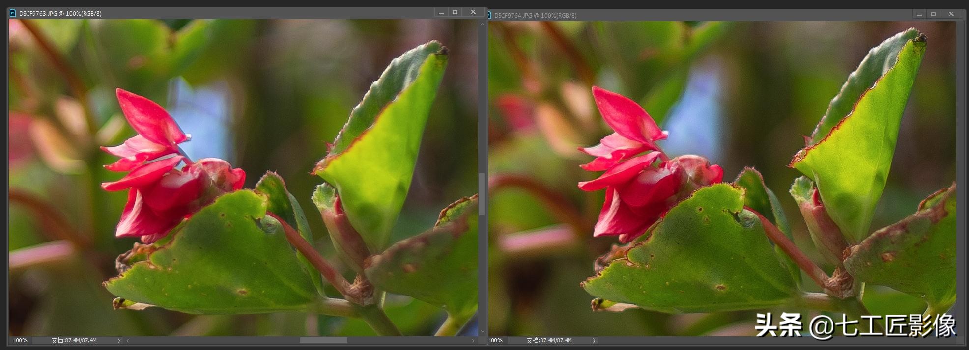 永诺50mmf1.8和七工匠35mmf1.4,七工匠人文镜头