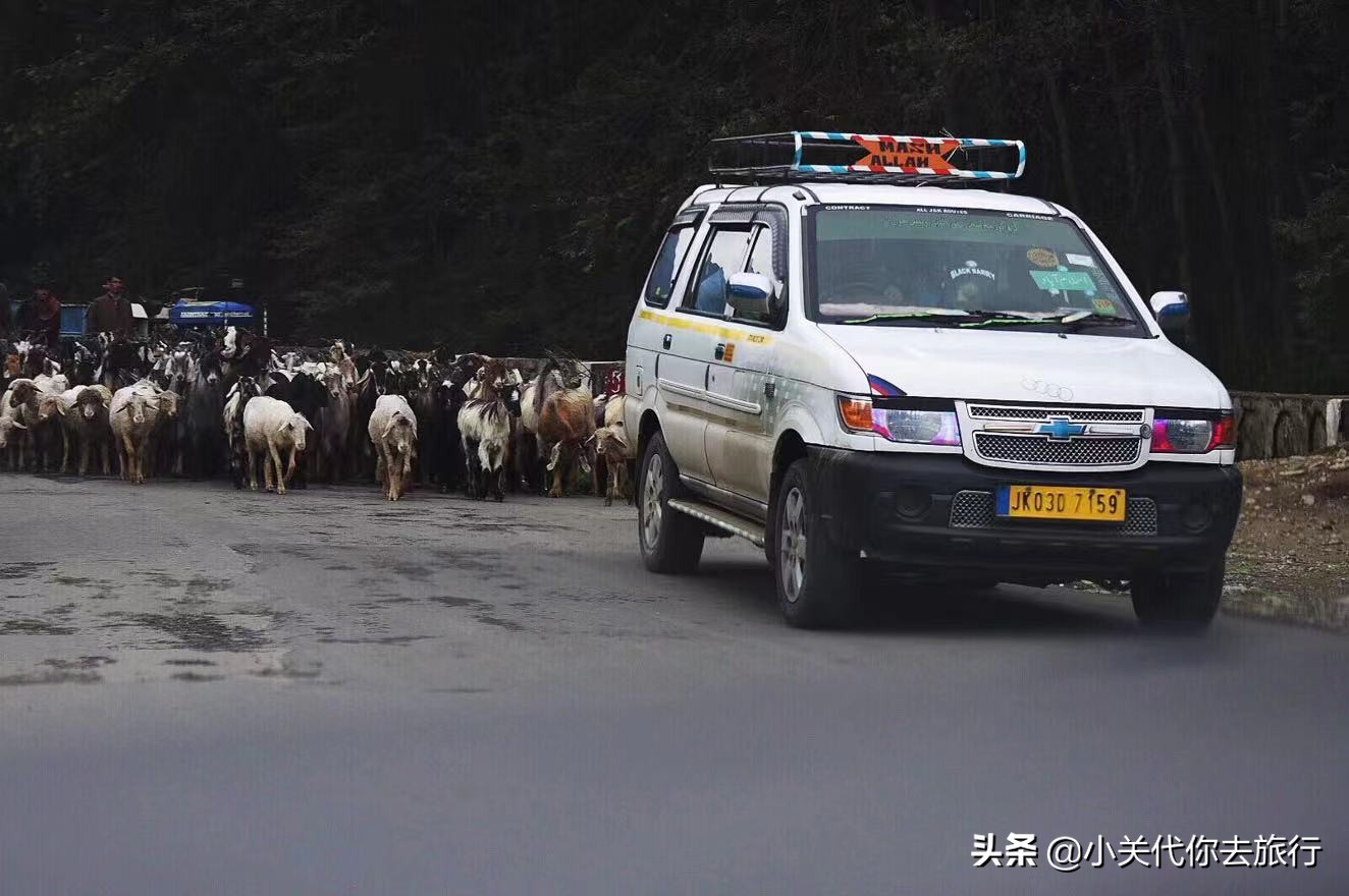 印度医院看病视频,在印度看病免费吗