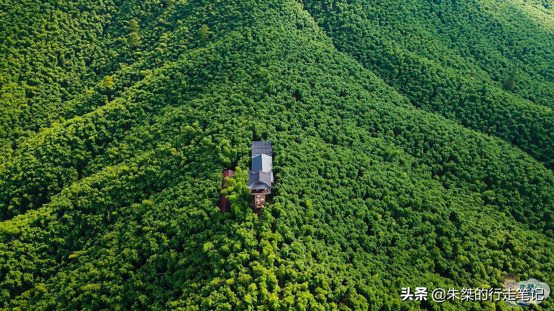 全国有名竹海,华东第一竹海的宜兴