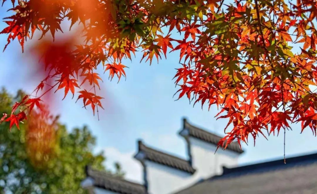 肖战无锡同款打卡,肖战美食重庆同款地点打卡攻略