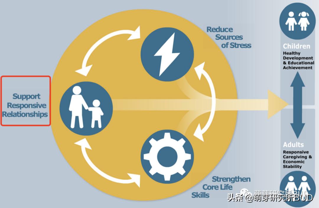 什么兴趣班适合大龄孩子学,什么年龄报兴趣班