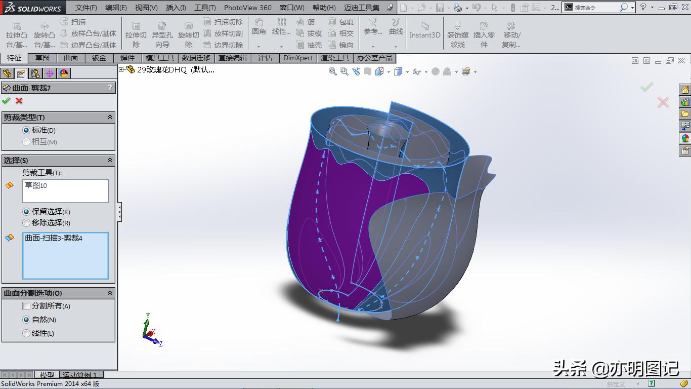 solidworks玫瑰花建模教程,玫瑰花建模solidworks尺寸图