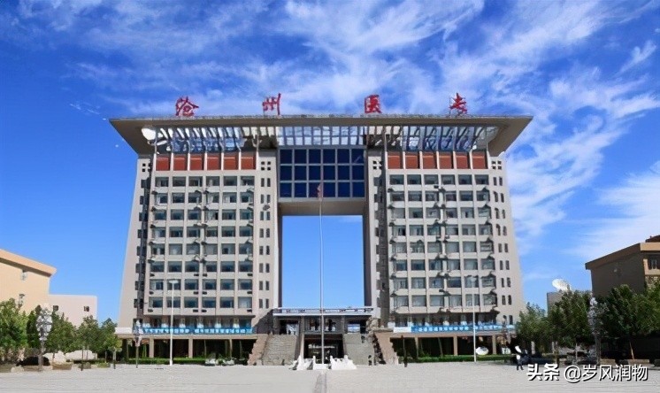 沧州大学城周边发展潜力,沧州西南高教区