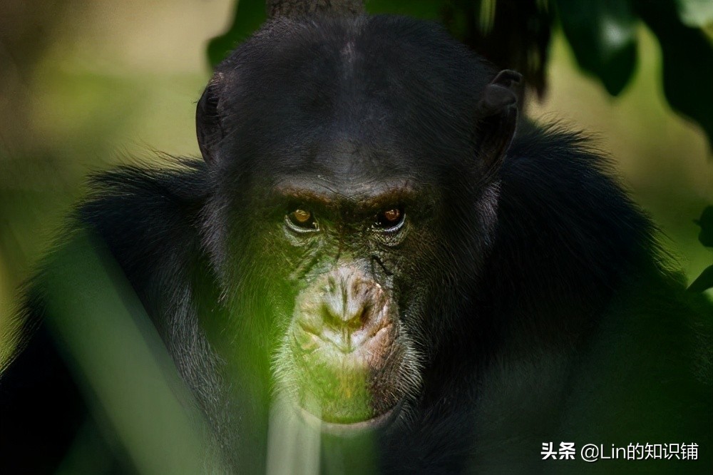 12条冷知识：在生活中你不一定会用到，但可以当作交谈时的话题