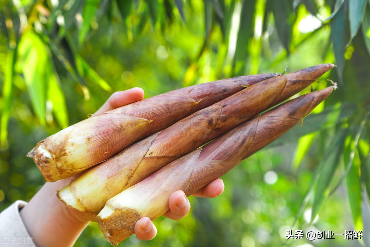 适合农村创业的最新致富项目,农村小本创业致富项目加工