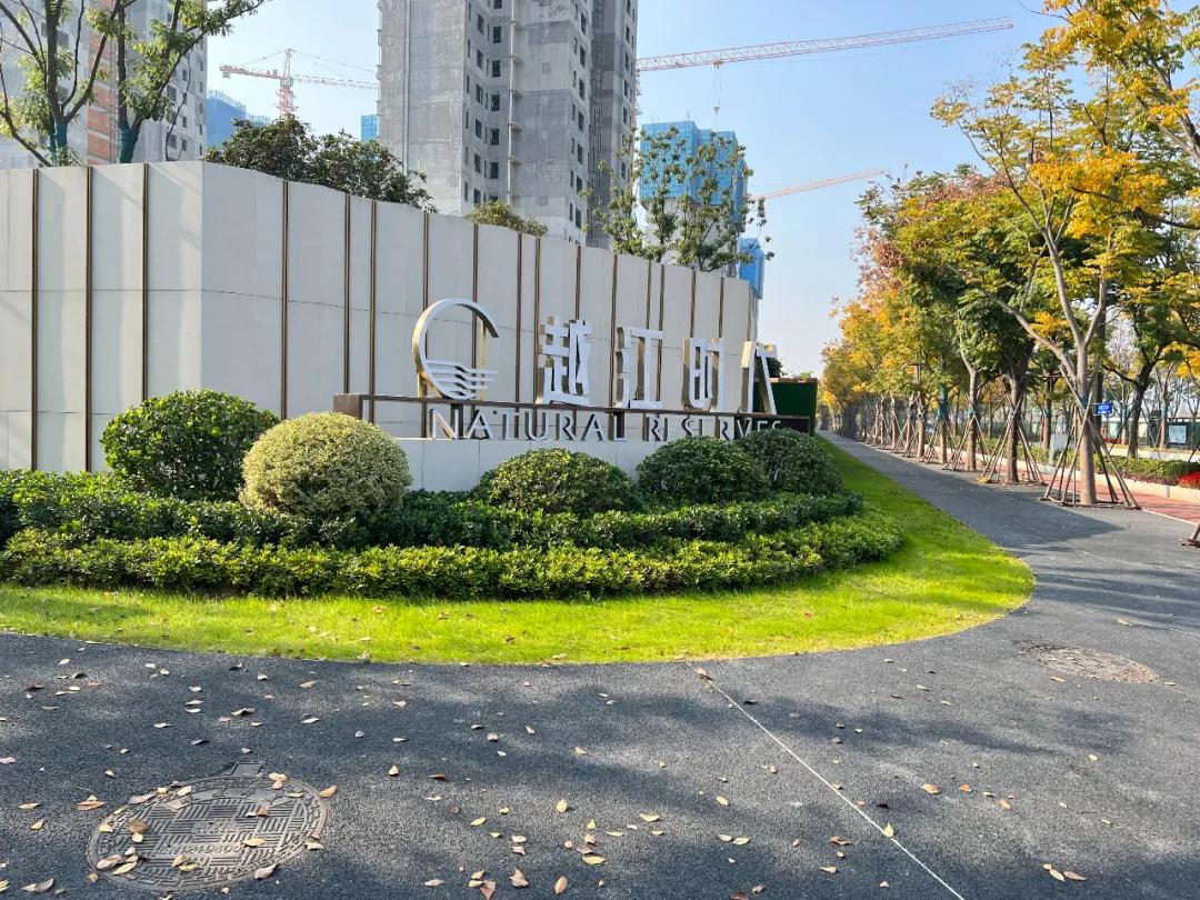 南京江核哪个板块好,江核青奥板块