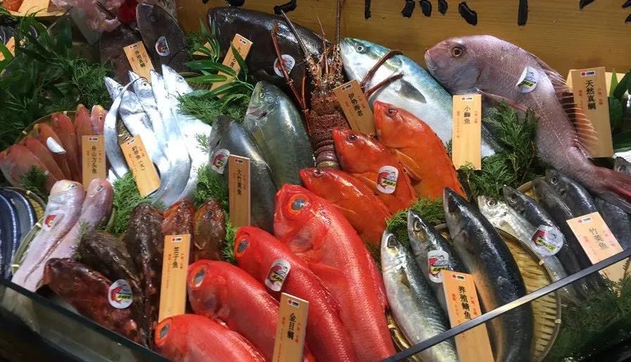 “海洋瑰宝·万家共享”——金枪鱼品鉴会邀请函