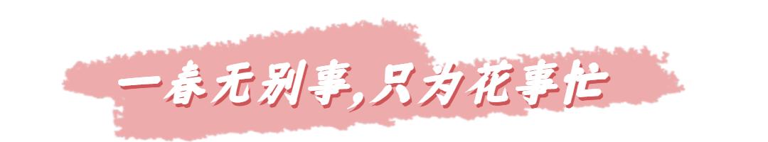 抢抢抢！五一狂欢就来墨子古街，4重福利等你来！