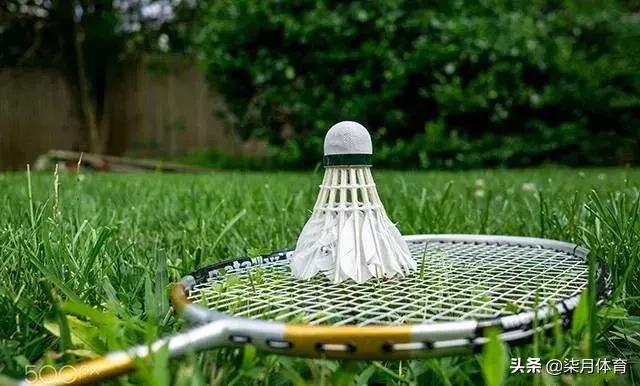 乒乓球拍不打的时候怎么保养,乒乓球拍怎么保养用什么工具