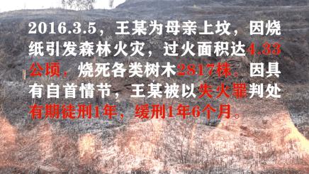 广安市广安区火灾最新事件,广安发生火灾