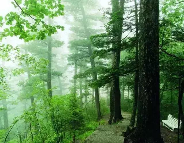 哈尔滨周边有10多个绝美胜地,哈尔滨自驾三亚边走边玩最佳路线