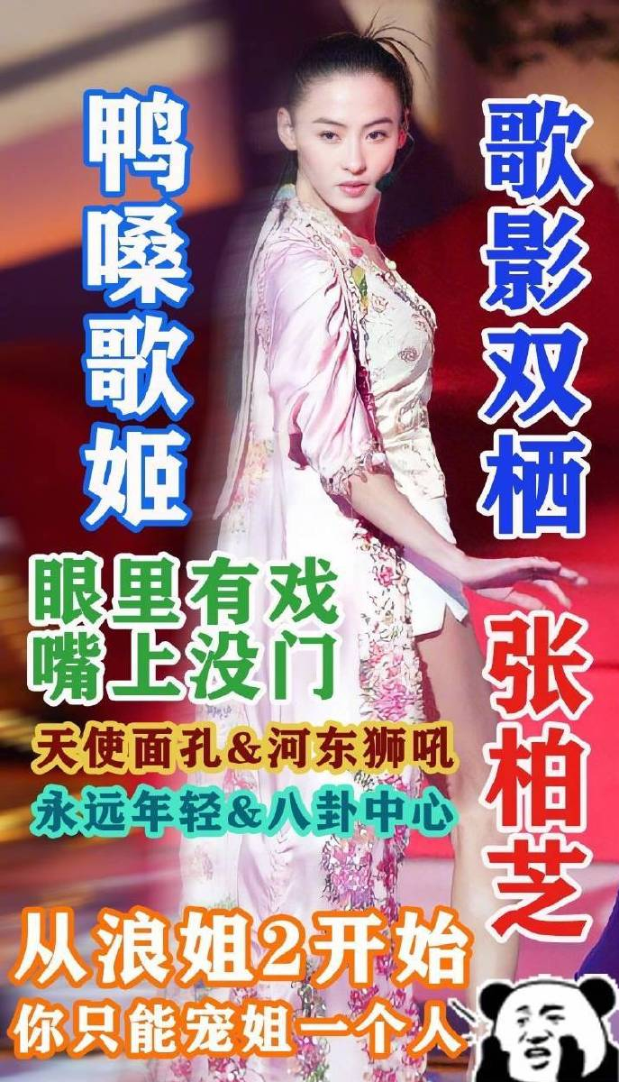 隆鼻张柏芝鼻型,浪姐张柏芝新消息