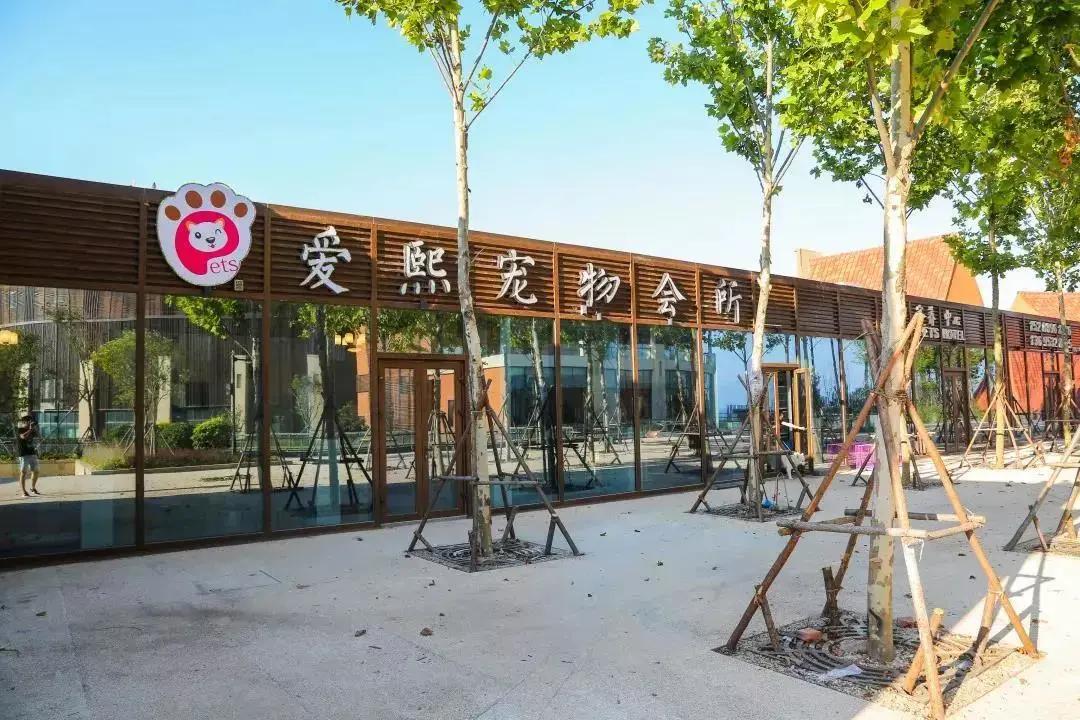 青岛胶南红树林旅游景点,西海岸红树林度假世界