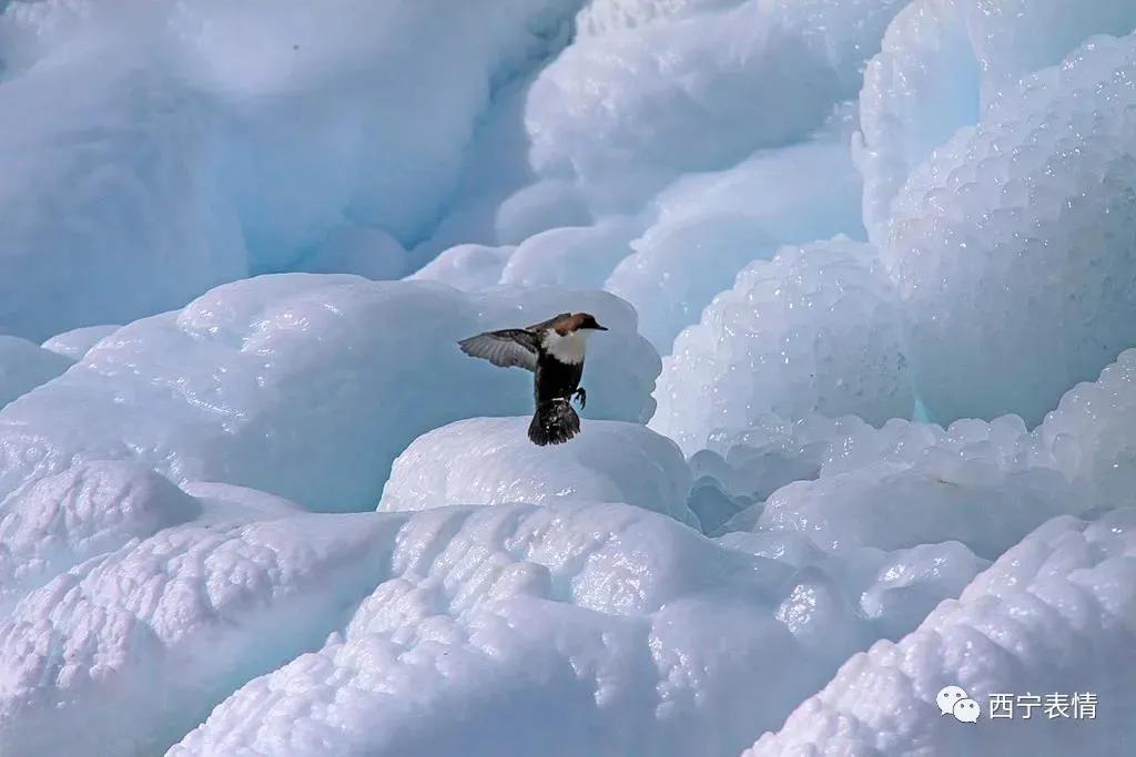 南极孤独雪山风景,小众但雄伟的雪山
