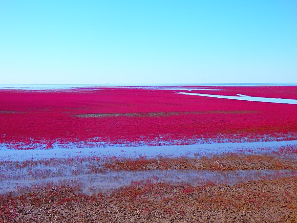 中国红海旅游攻略自由行,中国看大海去哪里旅游