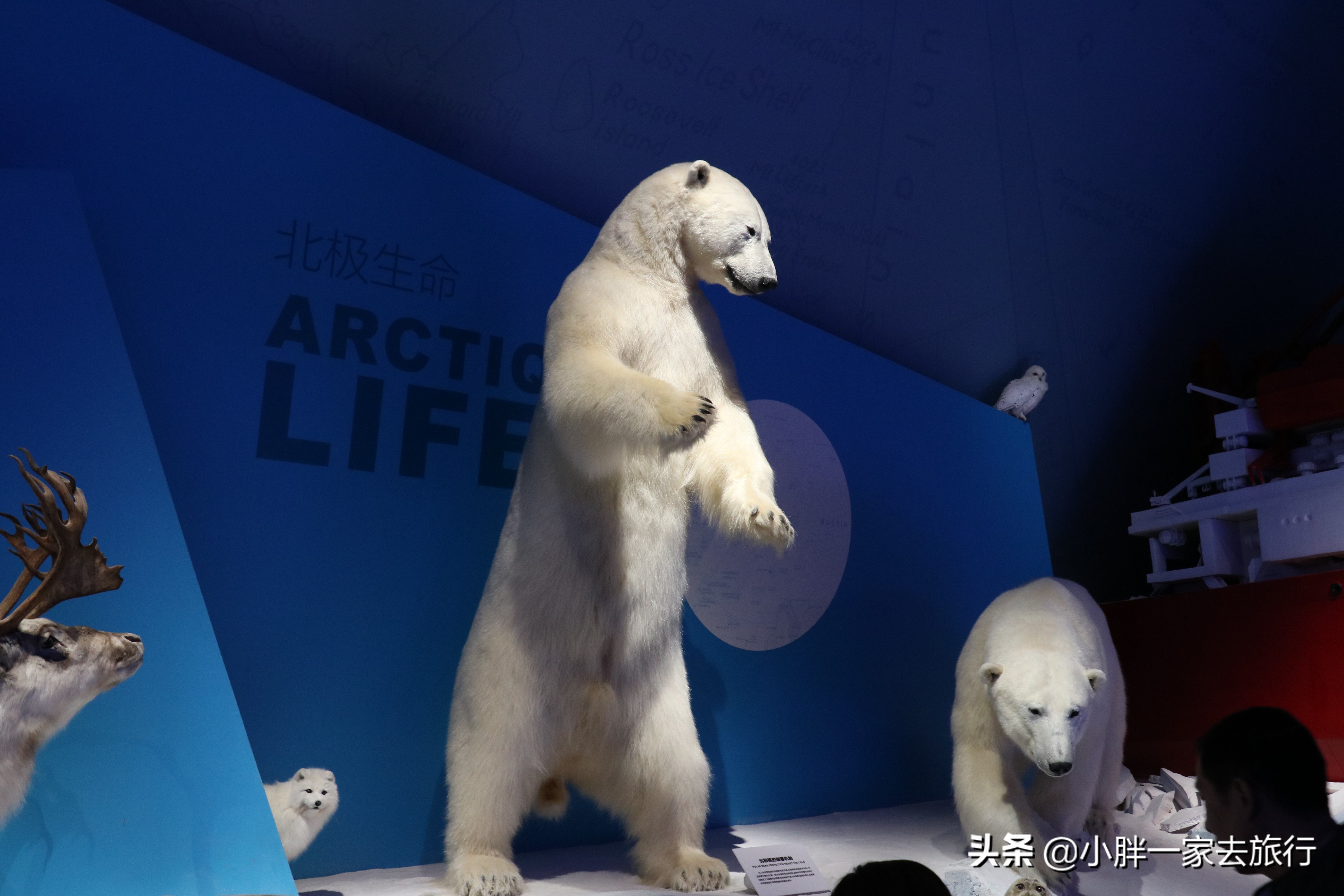 最大的北京海洋博物馆,海上故宫国家海洋博物馆