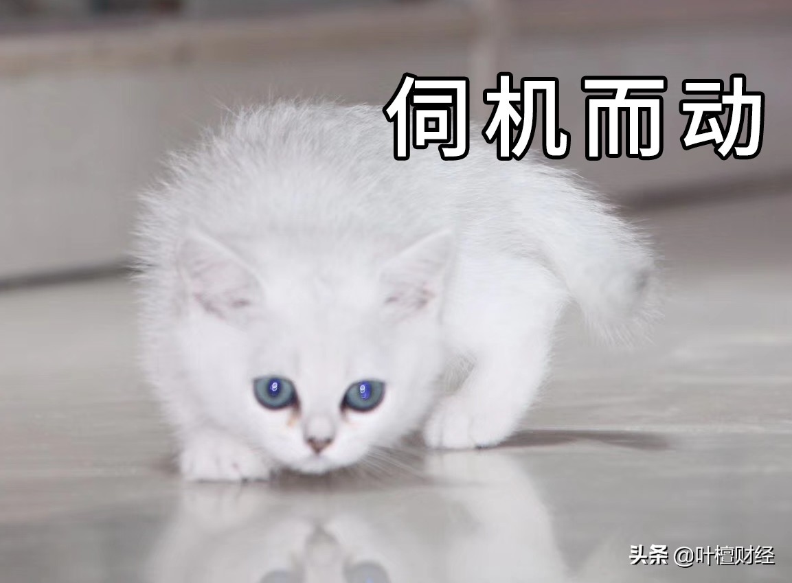 股市能够替代房地产吗,股市取代楼市成为新的货币蓄水池