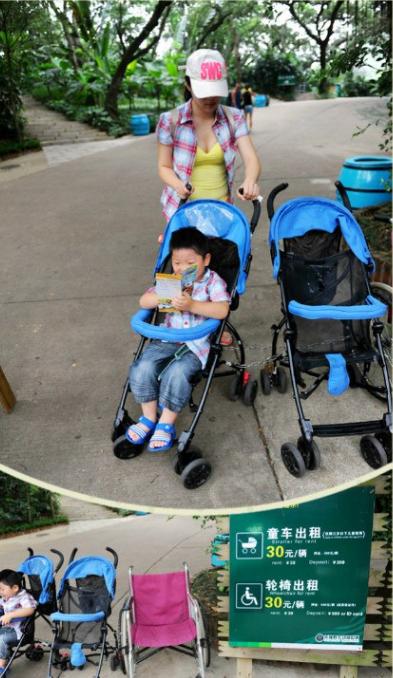 团队自驾游南澳岛旅游攻略,自驾广州长隆3天2夜亲子游攻略