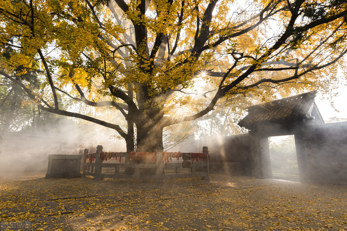 了凡四训七句箴言知命改命不难,除了了凡四训还有什么改命的故事