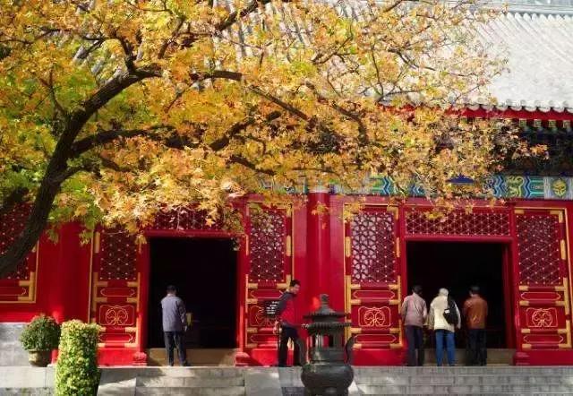 河北最牛的1个城市，承包了大半个中国的美