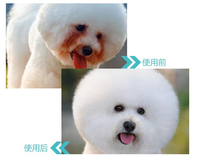 娄艺潇李金铭抖音,李金铭娄艺潇综艺节目在哪看