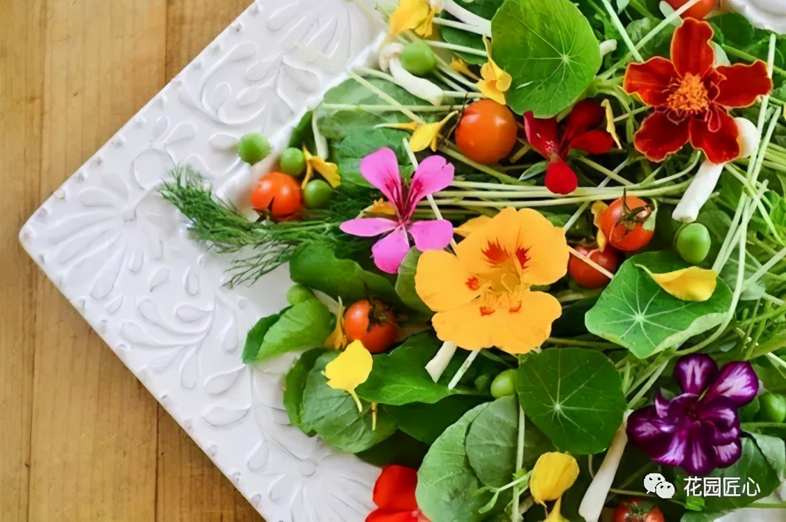 可以食用的花可制作的美食,100种可食用花的做法