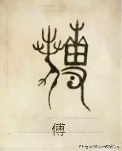 中国100大姓氏图腾大全,姓氏图腾大全史姓图腾是什么